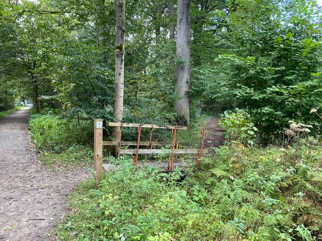 bosleerpad-groenhove-bruggetje