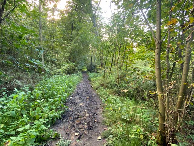 bosleerpad-groenhove-modderpad