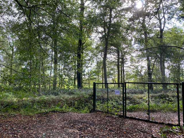 bosleerpad-groenhove-wandelroute-langs-hek