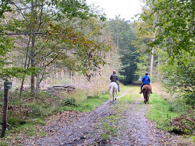 bospad-vloethemveld-ruiters