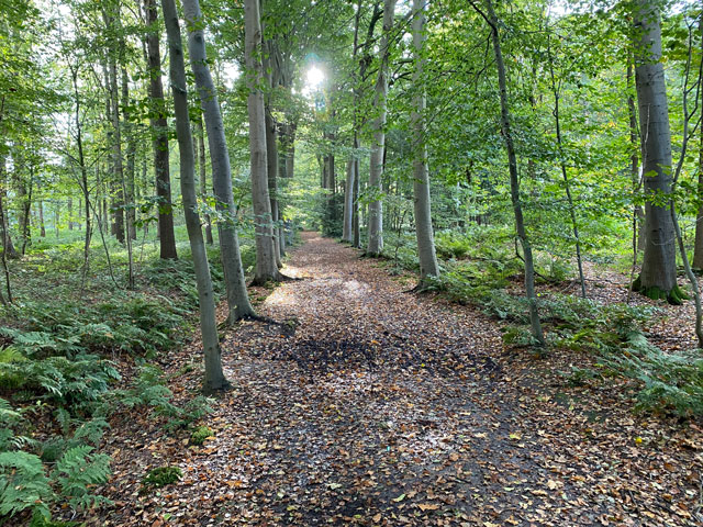 wandelroute-plaisiersbos