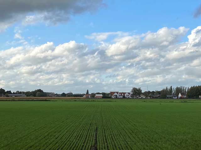 wandelroute-plaisiersbos-uitzicht-Belledreef
