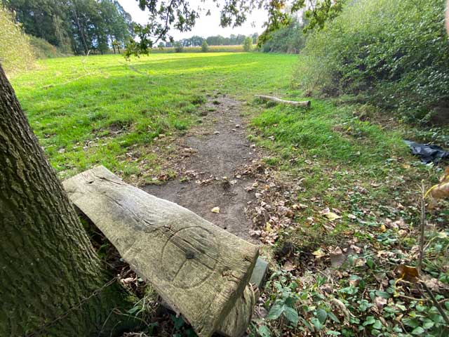 wandelroute-plaisiersbos-wandelbankje