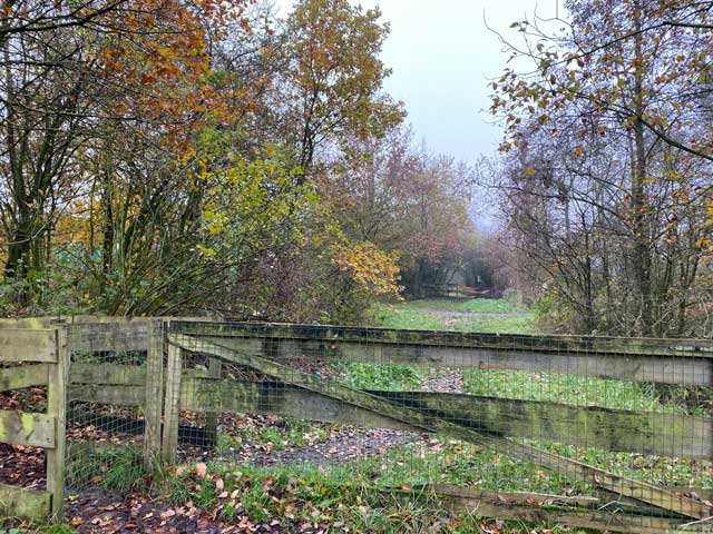 warandeputten-oostkamp-hek-graaszone-galloways