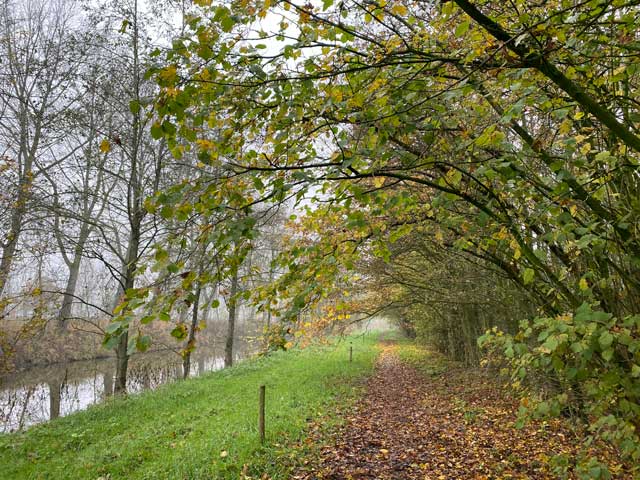 warandeputten-oostkamp-herfstsfeer