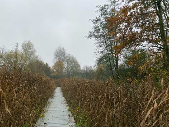 warandeputten-oostkamp-vlonderpad