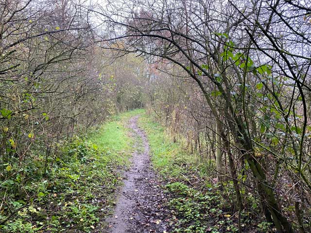 warandeputten-oostkamp-wandelpad
