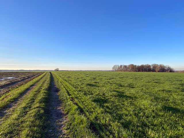 koekelarebergwandelroute-koekelare-tractorpad-naar-top-koekelareberg