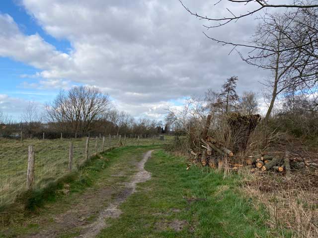 wandelpad-hoge-dijken-graspad