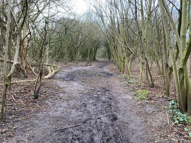 wandelpad-hoge-dijken-modder