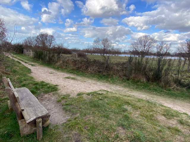 wandelpad-hoge-dijken-wandelbank-met-uitzicht