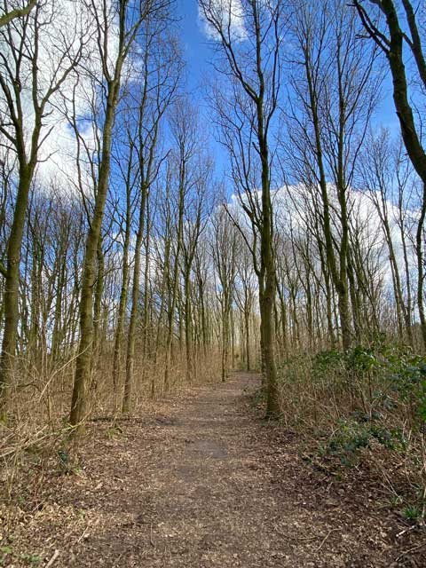 wandelpad-hoge-dijken-wandelpad